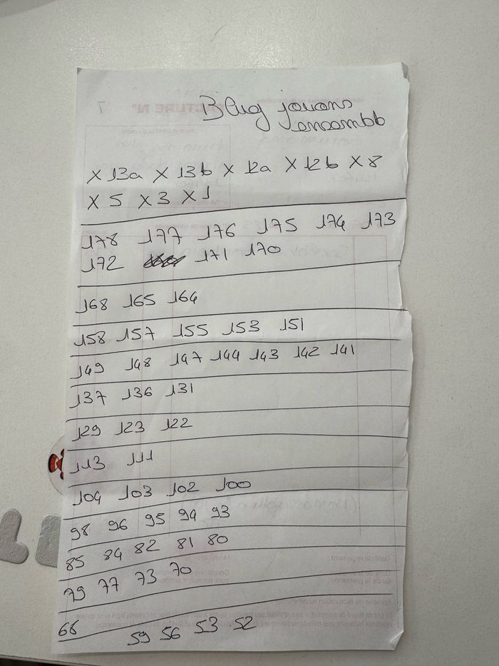 Carte panini Bluey - photo numéro 4