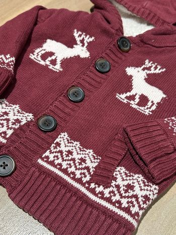 Veste chaude motif hiver montagne  mixte taille 18 mois toute fouree moumoute douce