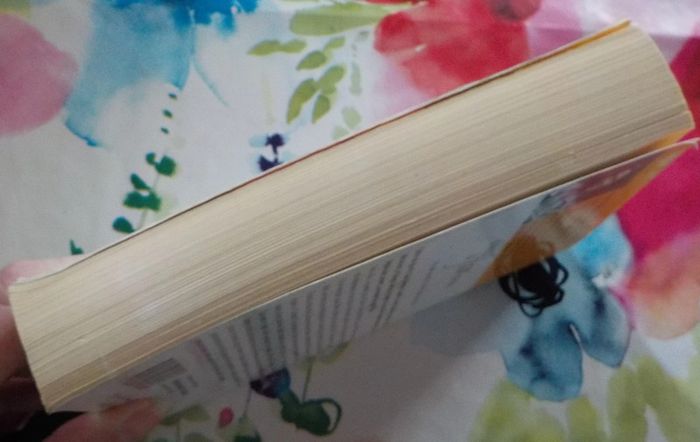 Le passé à fleur de peau de Mary Alice Monroe Harlequin Best-Sellers n°184 - photo numéro 4