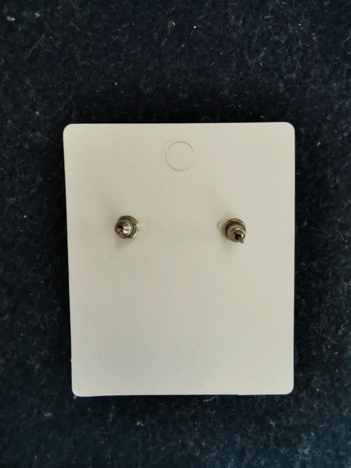 Puces d'oreilles chiens - photo numéro 3