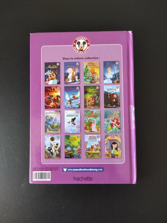 Livre enfant – La Reine des Neiges ❄️📘 - photo numéro 2