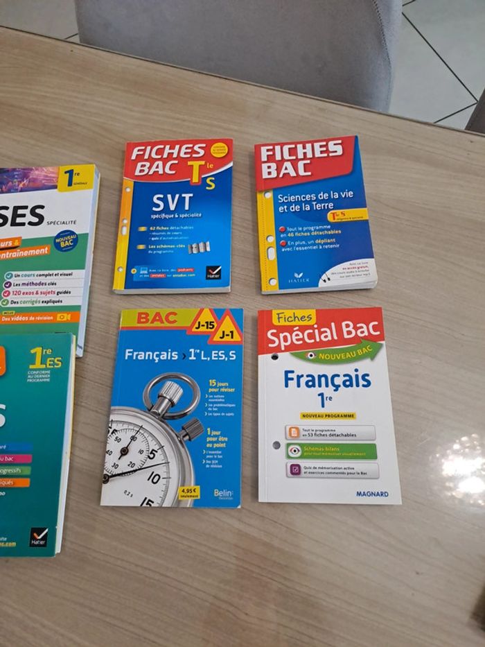Lot de livres bac - photo numéro 8