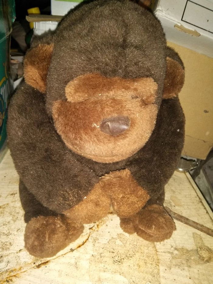 Peluche