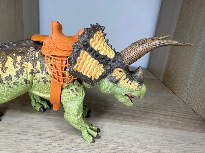 Tricératops lanard - photo numéro 2
