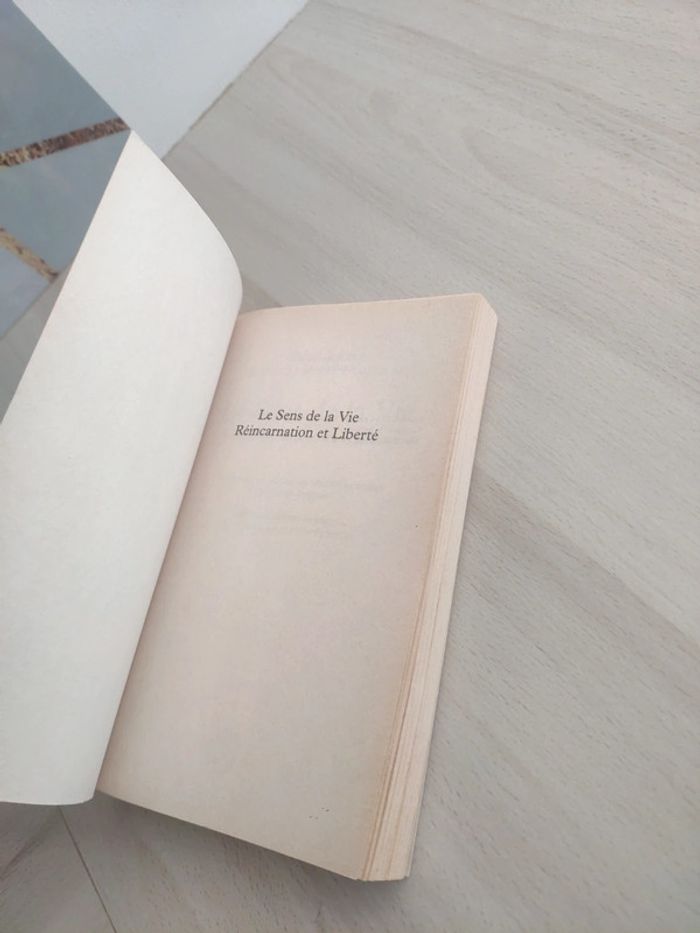 Livre poche le sens de la vie réincarnation et liberté Dalaï lama - photo numéro 5