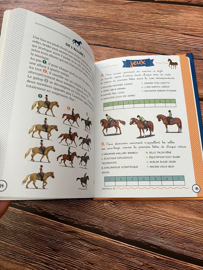 Chevaux fleurus - photo numéro 5