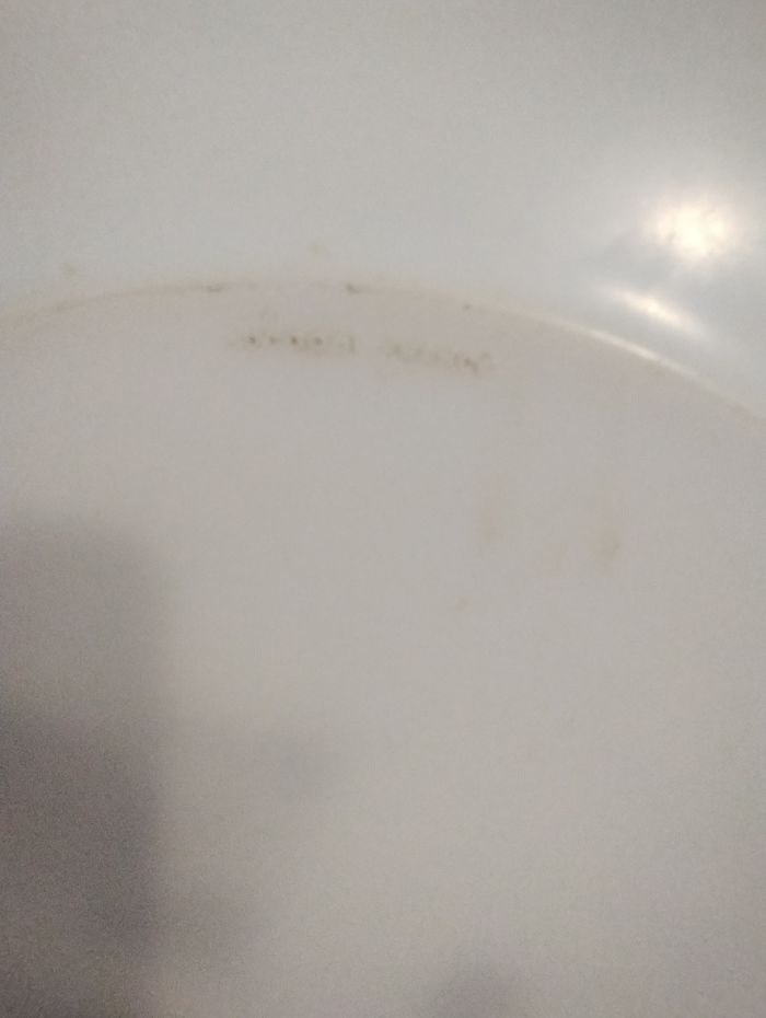 Assiette arcopal - photo numéro 5