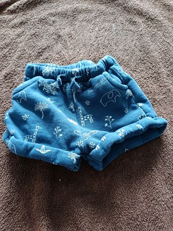 Short éléphant 