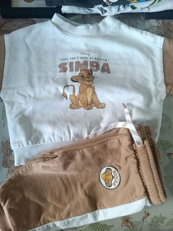 Ensemble Simba 