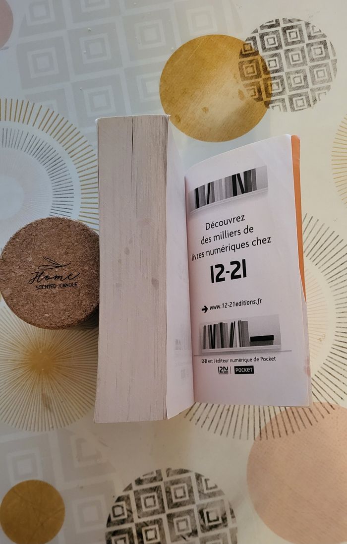 Saga Les Déracinés : Tome1 Les Déracinés de Catherine Bardon - photo numéro 4