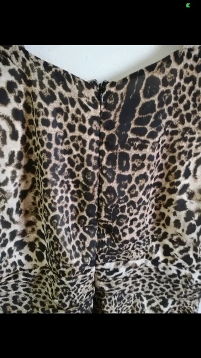 Jolie robe - photo numéro 7