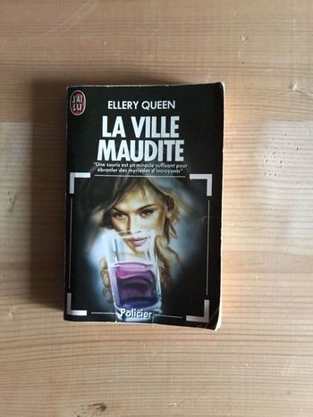 Livre « la ville maudite »