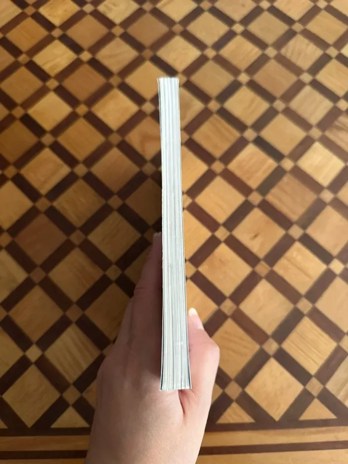 Livre Le Petit Nicolas et les copains - photo numéro 3