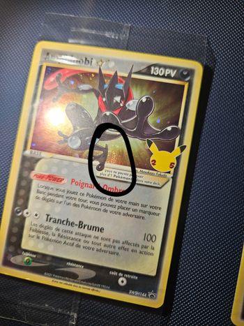 2 Amphinobi SWSH 144 Scellée + Swirl