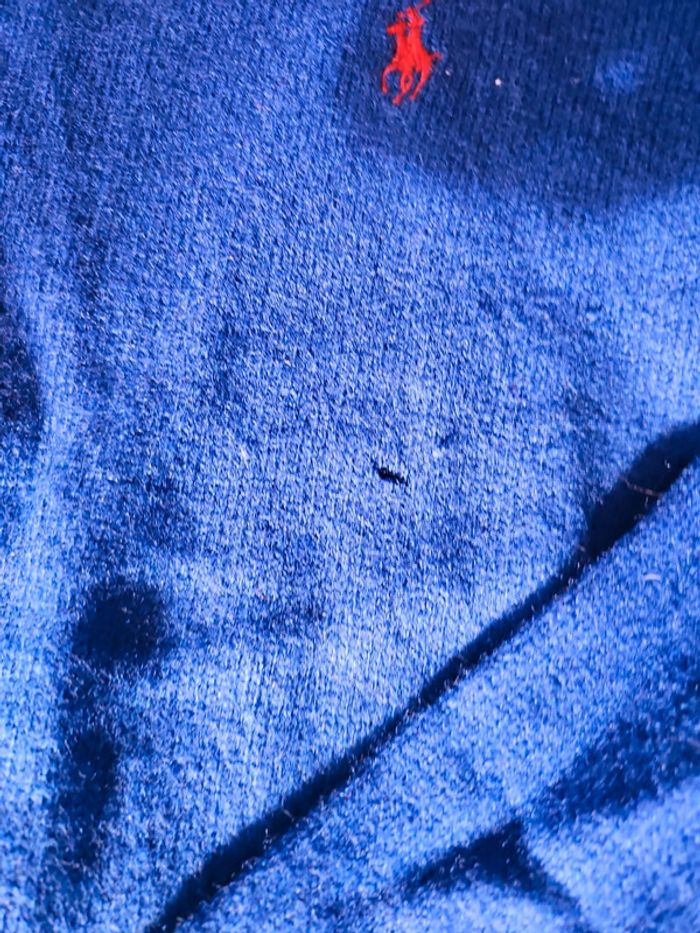 🔥Pull Ralph Lauren T.L 100% Laine d'agneau 💫👕 - photo numéro 4