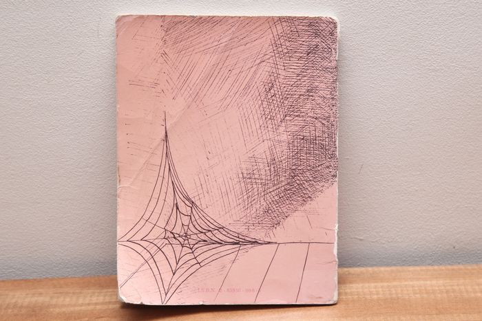 Une araignée sur le plancher - photo numéro 2