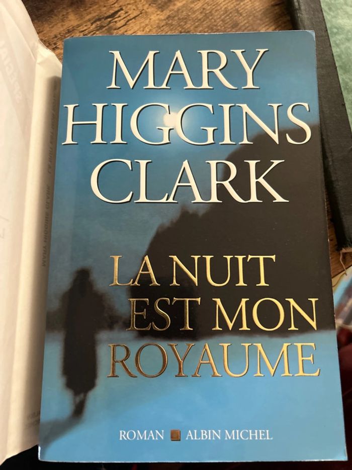 la nuit est mon royaume - photo numéro 4