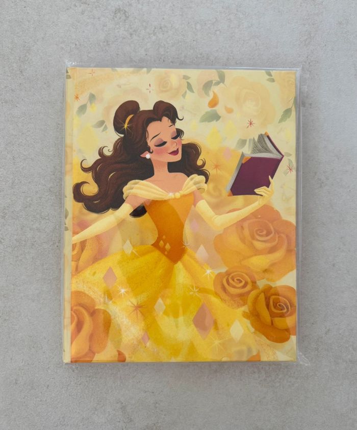 Cahier la belle et la bête Disneyland Paris neuf