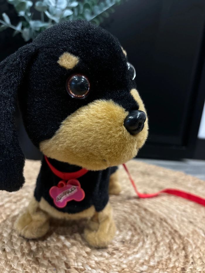 Animagic chien waggles en balade - photo numéro 2