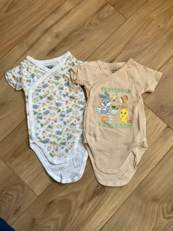 Lot 2 bodys manches courtes taille 6mois