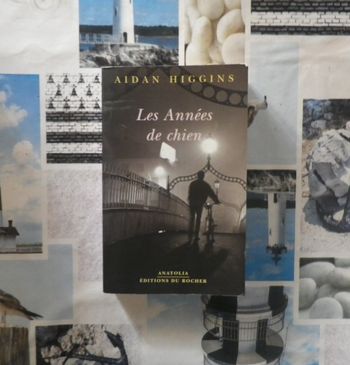 Les années de chien de Aidan Higgins Ed. du Rocher