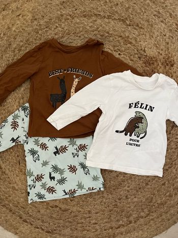 Lot 3 hauts manches longues gemo