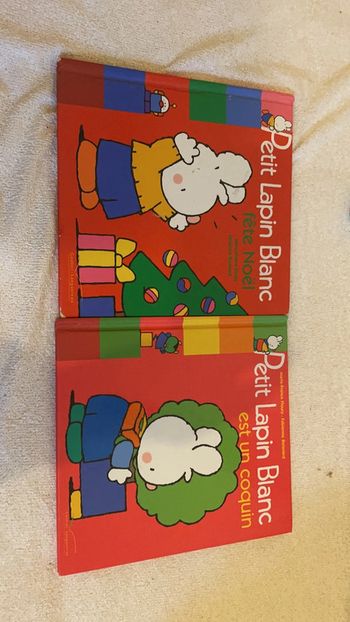 Lot de 2 livres Petit Lapin blanc