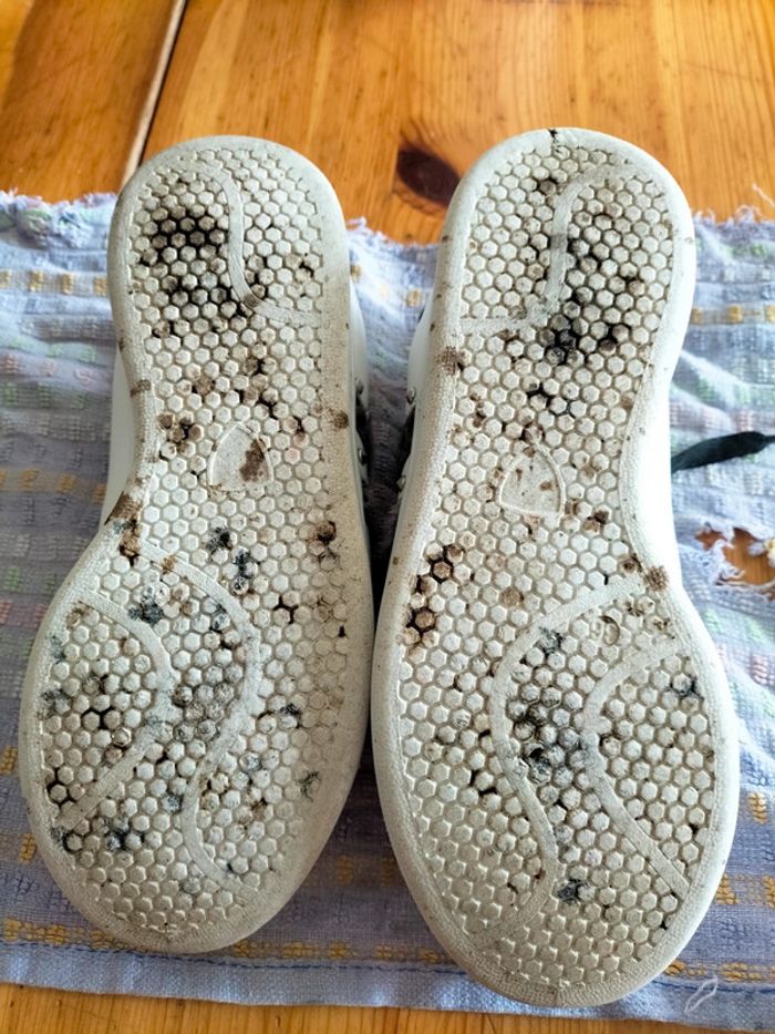 Basket blanche motif léopard 36 - photo numéro 5