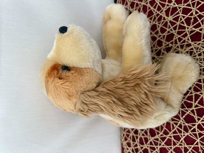 doudou chien - photo numéro 5