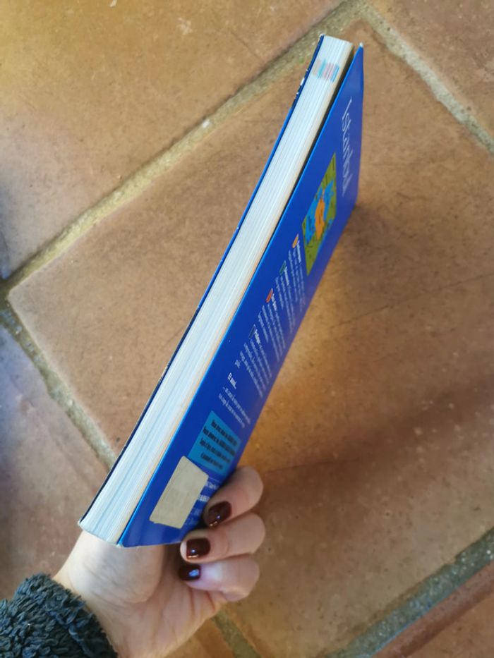 Istanbul guides bleus évasion Hachette - photo numéro 3