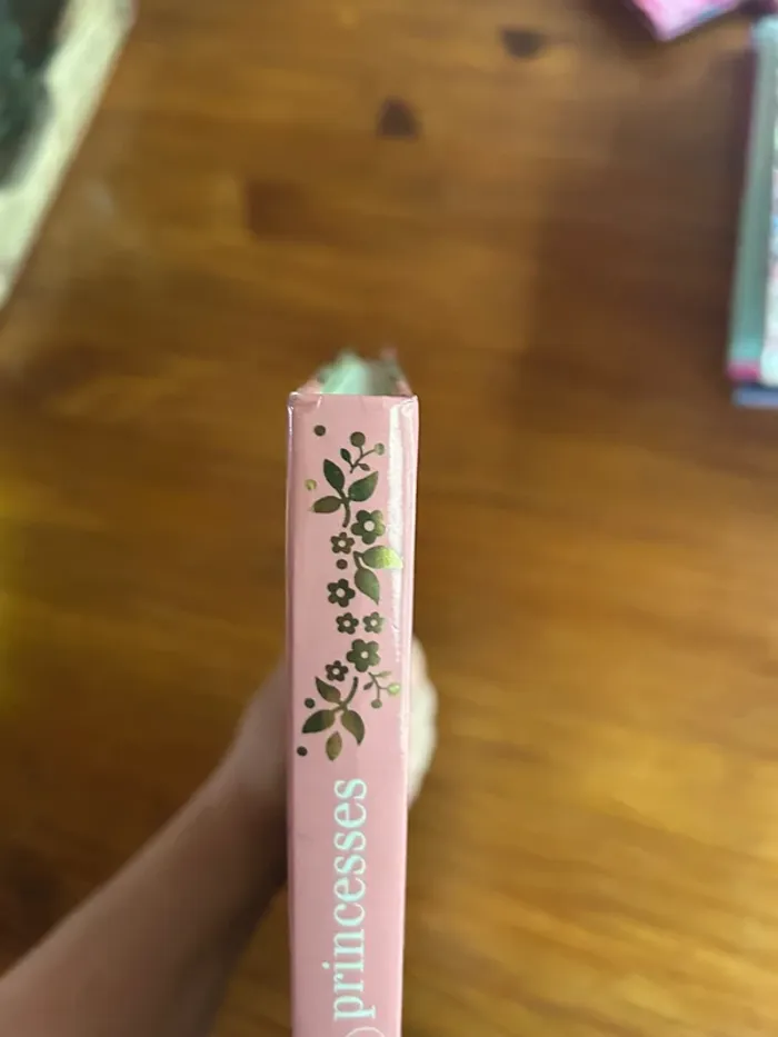Lot de livres princesses - photo numéro 9