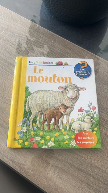 Les p’tits juniors le mouton