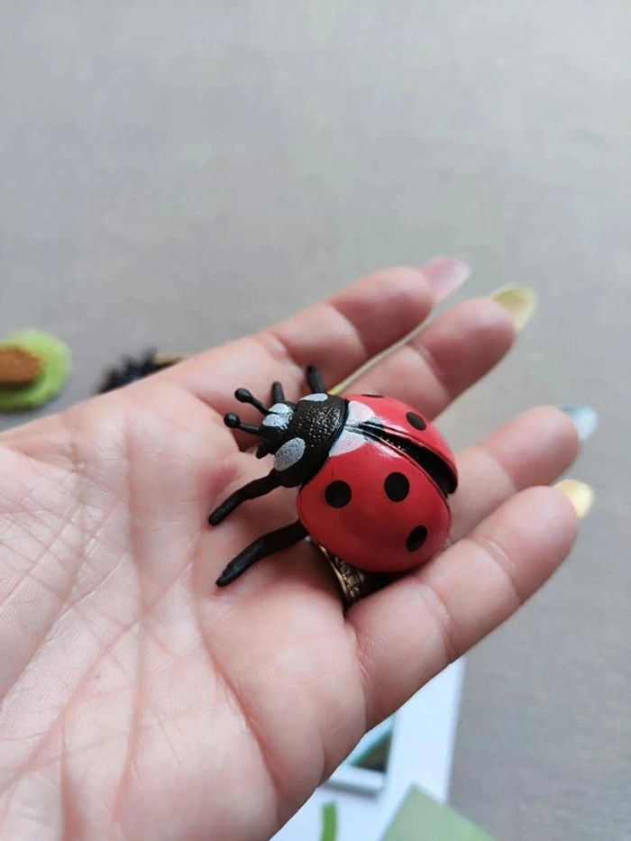 Kit cycle de vie d'une coccinelle Montessori - photo numéro 5