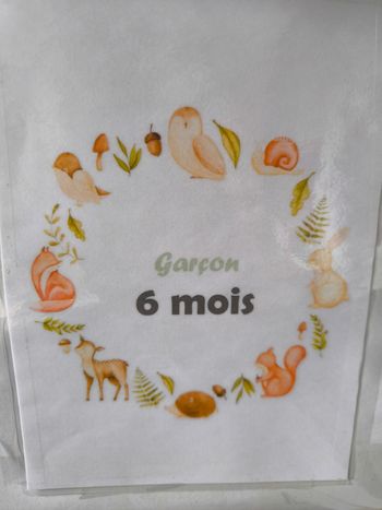 Lot vêtements 6 mois garçon