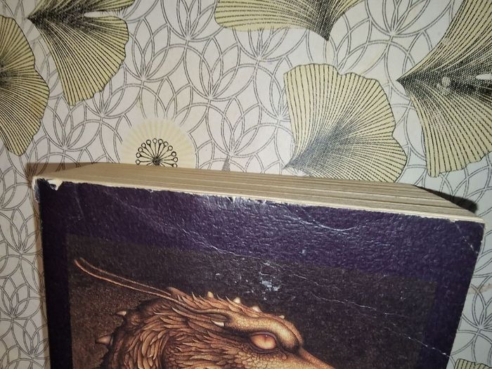 Brisingr Saga Eragon Tome 3 format broché - photo numéro 6