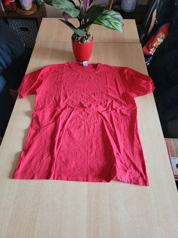 Tee shirt manches courtes