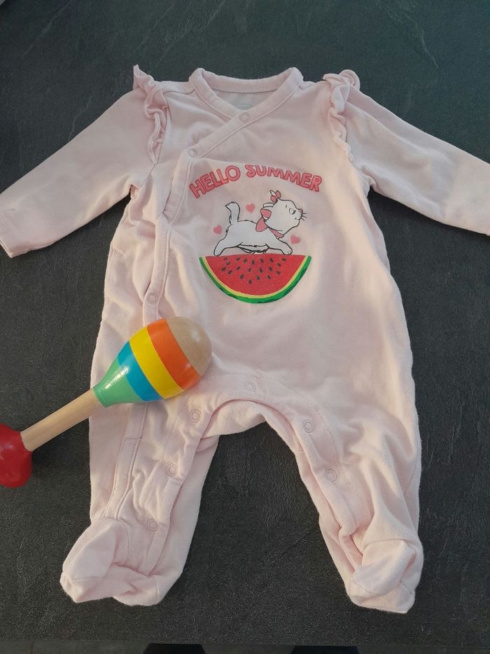 Grenouillère - photo numéro 2