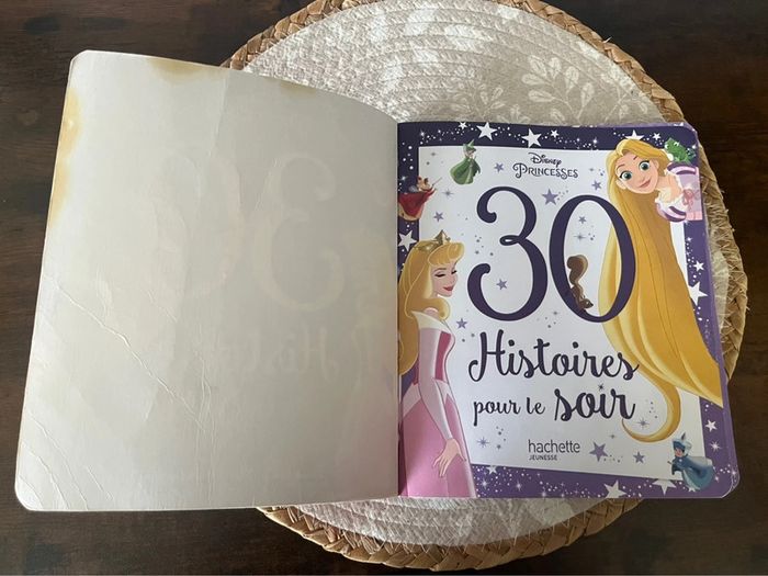 Histoire du soir Disney - photo numéro 5