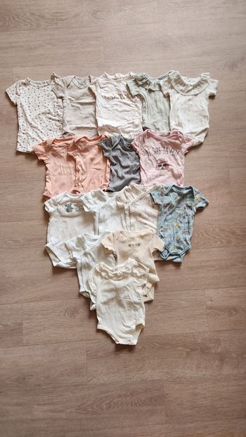 Lot de 16 bodies manches courtes  fille – 3 mois (56-62 cm)