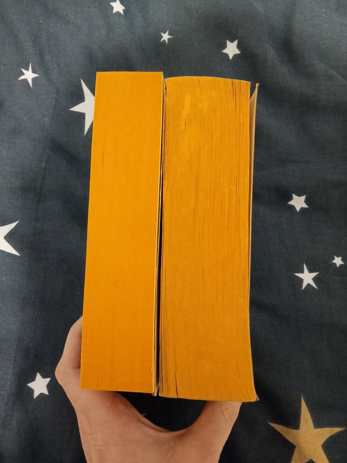 Livre (132) 📚 La bougainvillée 1 & 2 - photo numéro 4