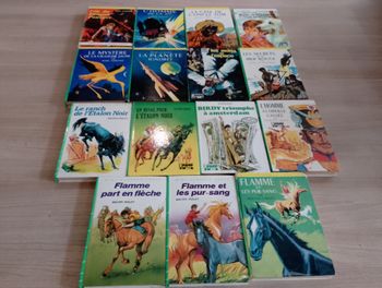 Lot de 15, bibliothèque verte (Flamme, l'étalon noir ect.(7)