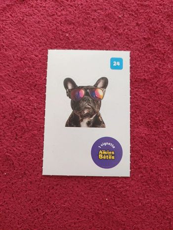 Carte nos amies les bêtes