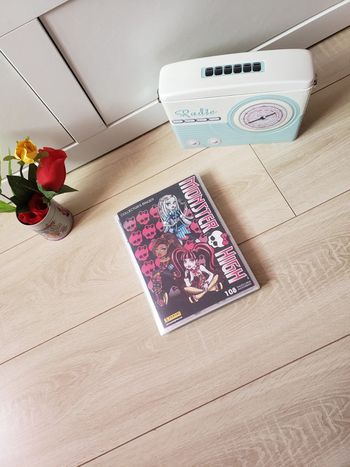 Classeur 🎀 Monster High + 70 cartes 15€