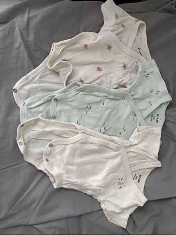 Lot bodies