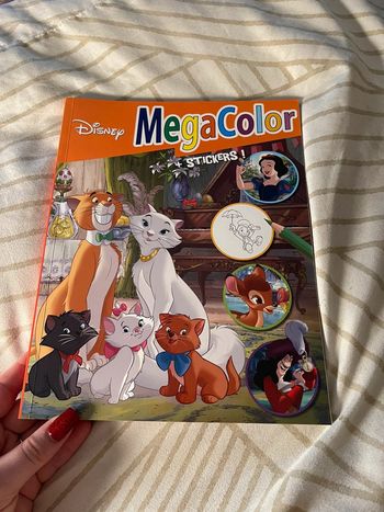 Livre coloriage Disney