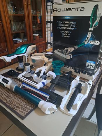 Aspirateur balai Rowenta Force Flex 5.60