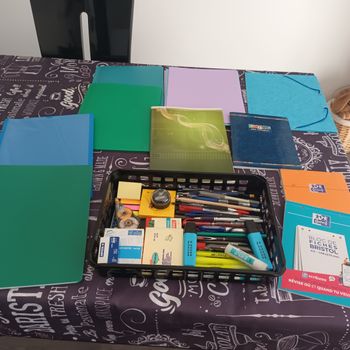 Lot fournitures scolaires crayons cahiers trieurs etc