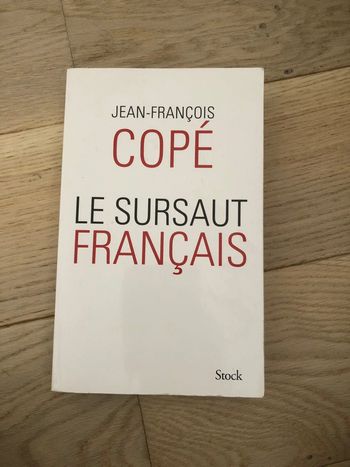 Le sursaut français de jean François copé