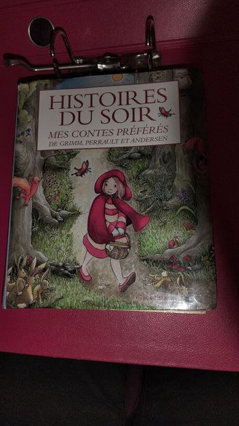 Histoire du soir mes contes préférés 