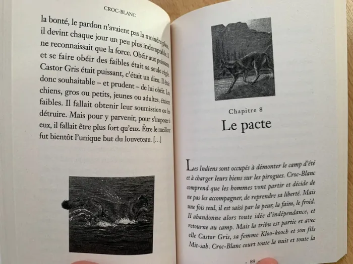 Roman Croc-Blanc - photo numéro 4